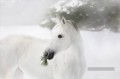 cheval noir et blanc sur les pins et la neige